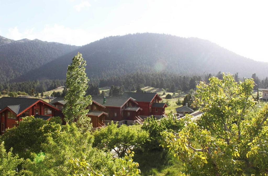 Boutique Hotel Skamnos Arachova Luaran gambar