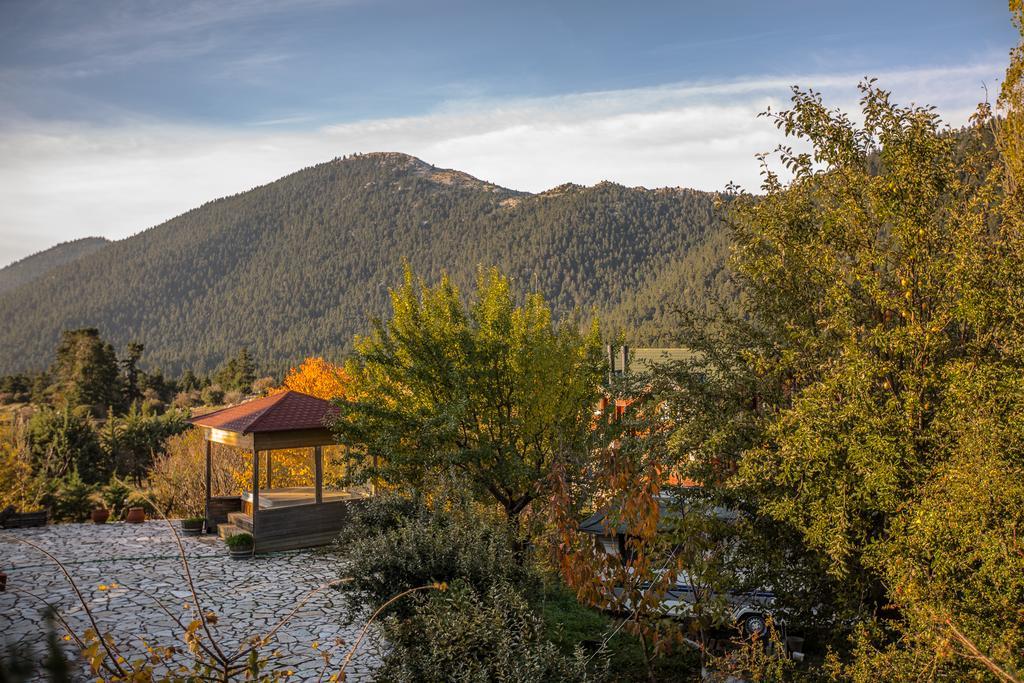 Boutique Hotel Skamnos Arachova Luaran gambar