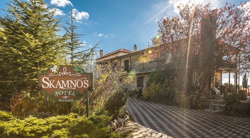 Boutique Hotel Skamnos Arachova Luaran gambar